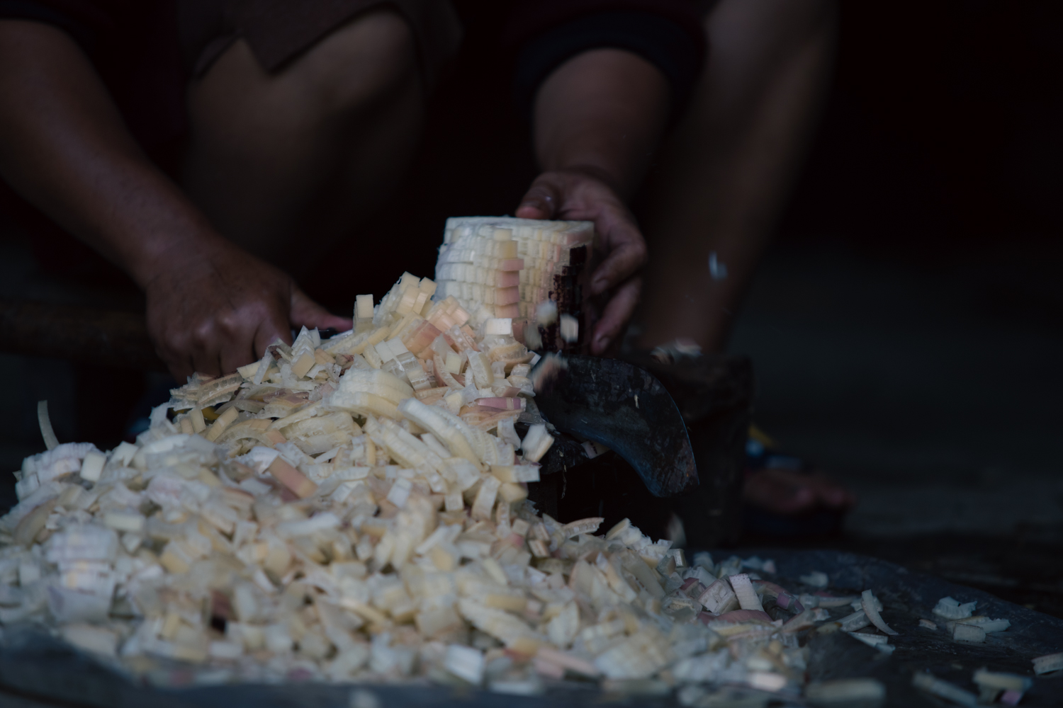 Finely chopped banana stalks are added to rice bran for pig feed.