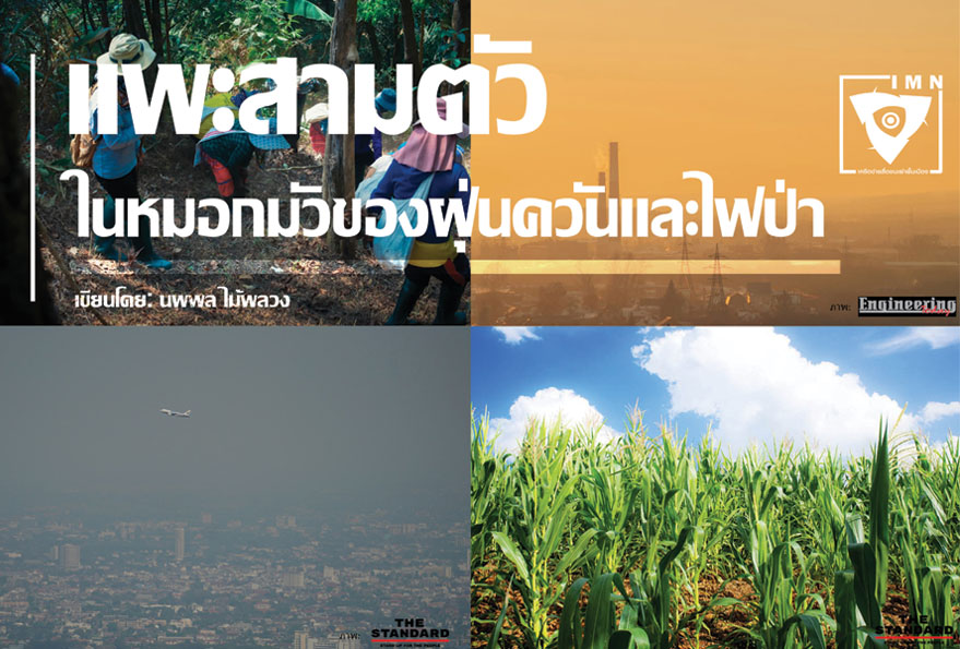 เเพะสามตัว ในหมอกมัวของฝุ่นควันและไฟป่า