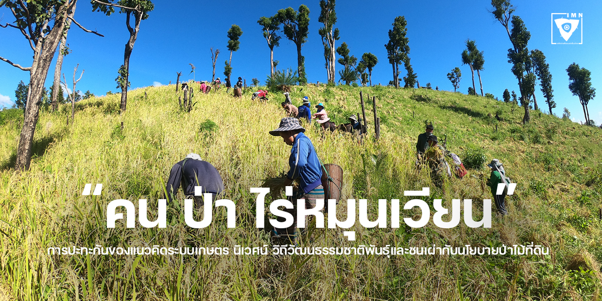 คน-ป่า-ไร่หมุนเวียน